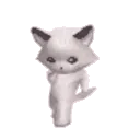 4573catdance