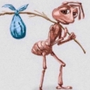 Achicopalao Achicopalao