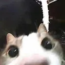 big_eyes