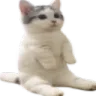 sit
