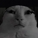 nepunatorcatSAD