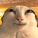 nepunatorcatHAPPY