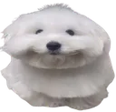 bradacrossthebradverse