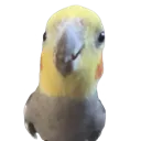 b_