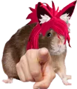 Noirat