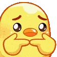 chicken_SHY