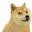 party_doge