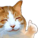 cat_thumbs_up cat_thumbs_up