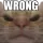 Catwrong Discord Emoji