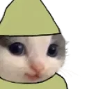 FeelsDankHehe FeelsDankHehe