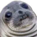 sealwat