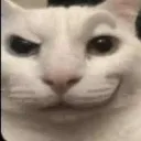 sucker