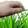 touchgrass