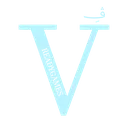 Project_VIP2024_b9f2ff