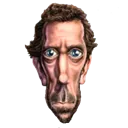 vidocin