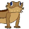 bouncydragon