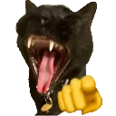 laughing_cat