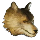 wolf wolf
