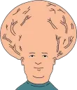 bigbrain