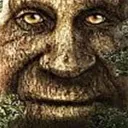 TE_WiseTree