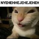 Cat_Nyeheheh_DC