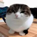 grr