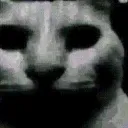 AAAHHTHEVOICESAREWINNING