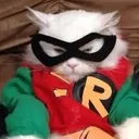 ROBINKITTY Discord Emoji