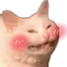 Catblushhy Discord Emoji