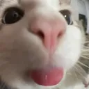 getbleppedon