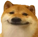 happydodge