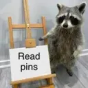 PINS