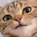 grinofapproval