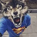 cool_wolf