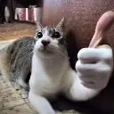 Nice