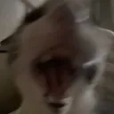 sog_scary
