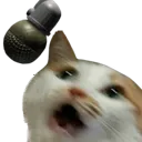 EFT_RGOCat EFT_RGOCat