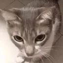 evil