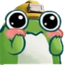 FrogZi2nd FrogZi2nd
