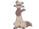 ferretdance