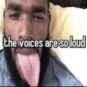thevoices