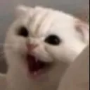 SohaibAngry