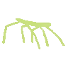 im_scary_stickbug_dance