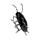 im_scary_cockroach_dance