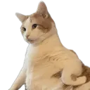 Really Cat Discord Emoji