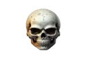 aiskull