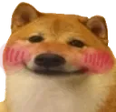 Dogesmileblush Dogesmileblush