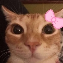 im_so_pretty im_so_pretty