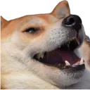 Dogelaugh dogelaugh Discord Emoji