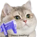 P_HeavyBreathing